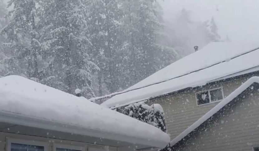 Heavy snowfall blankets the landscape, coating rooftops and trees